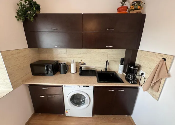 Seabreeze Ultracentral - Neversea * コンスタンツァ